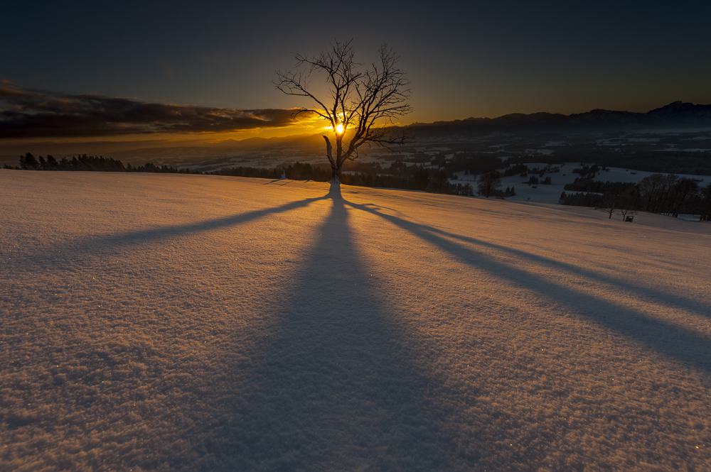 Monatsbilder Januar 2017